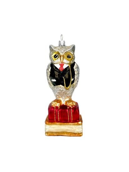 Picture of Owl on Books 0514X/Shop